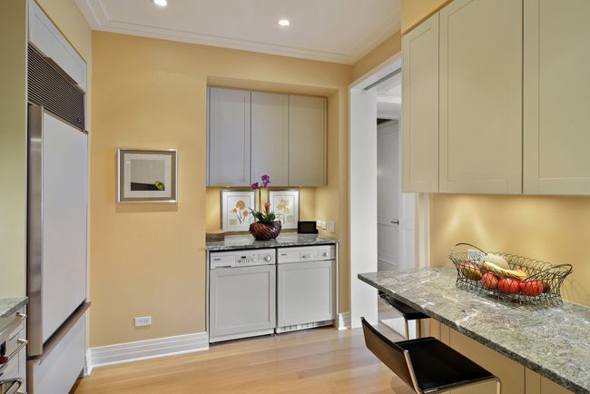 APT-16D - 159 E Walton Pl, Condo with 2 bedrooms, 2 bathrooms and 1 parking in CHICAGO IL | Image 12