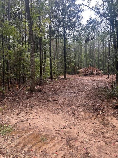 TBD S Bennett Rd, Independence, LA, 70443 | Card Image
