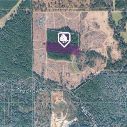 TBD Morgan Cemetery Rd, Cleveland, TX, 77328 | Card Image