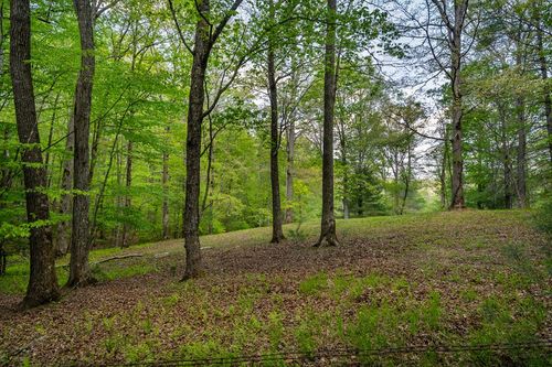 Lot 3-4 Scouts Overlook Lane, Morganton, GA, 30560 | Card Image