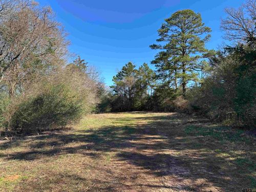 TBD Sand Flat Rd, Alto, TX, 75925 | Card Image