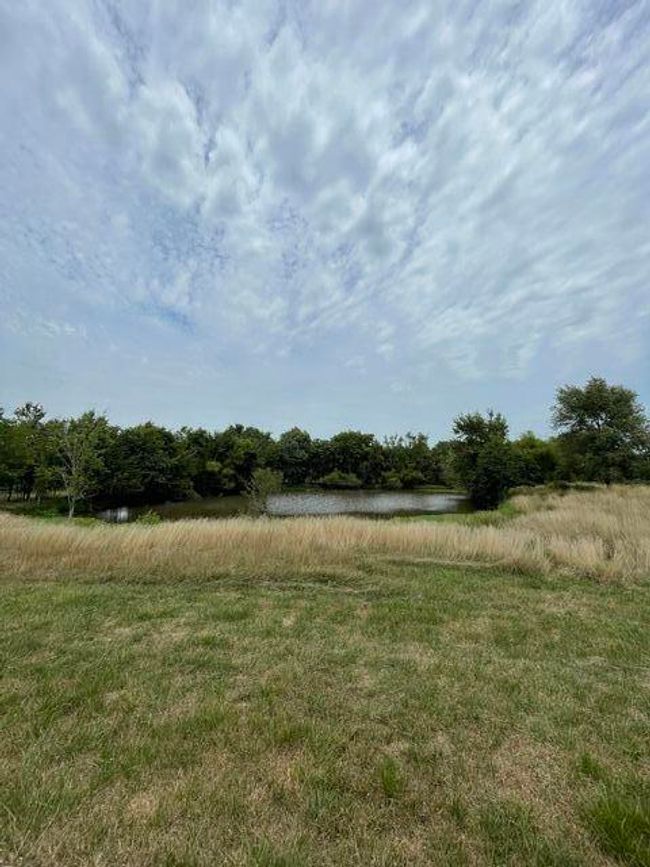 thumbnail (1) | Image 8