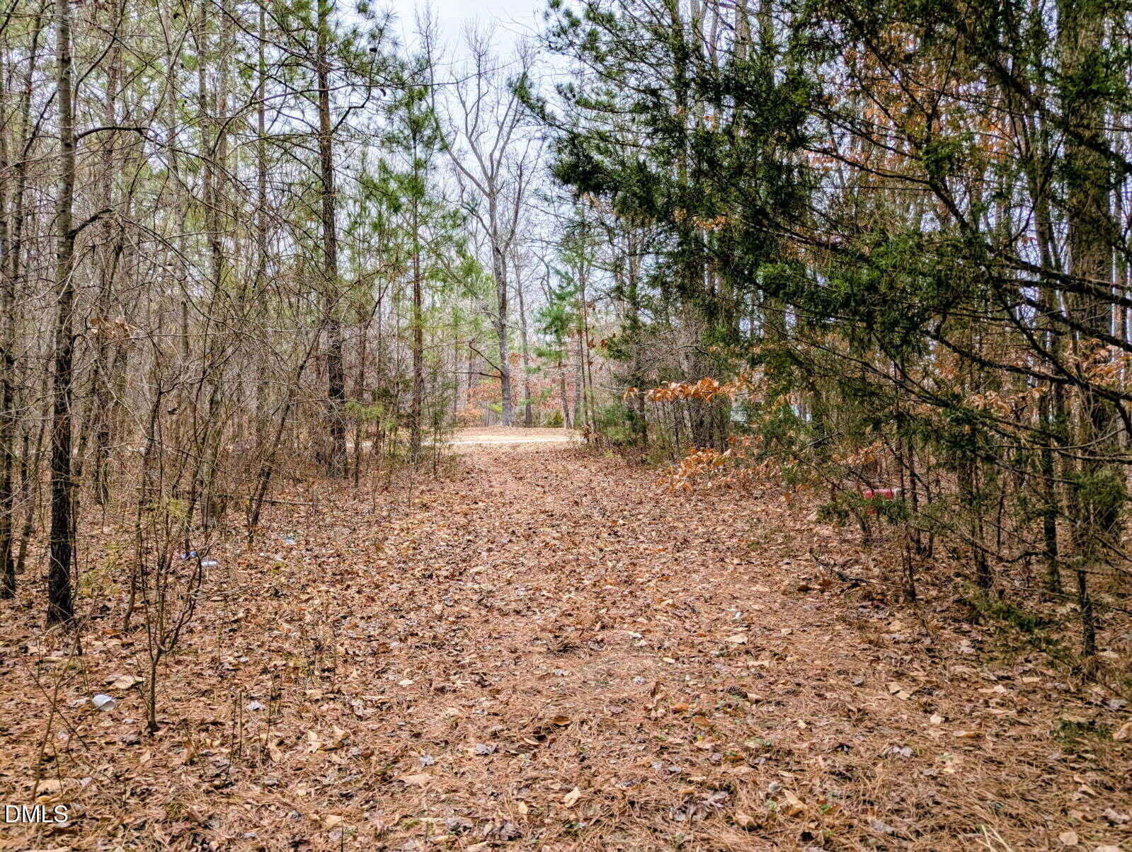 Land in Franklinton 5