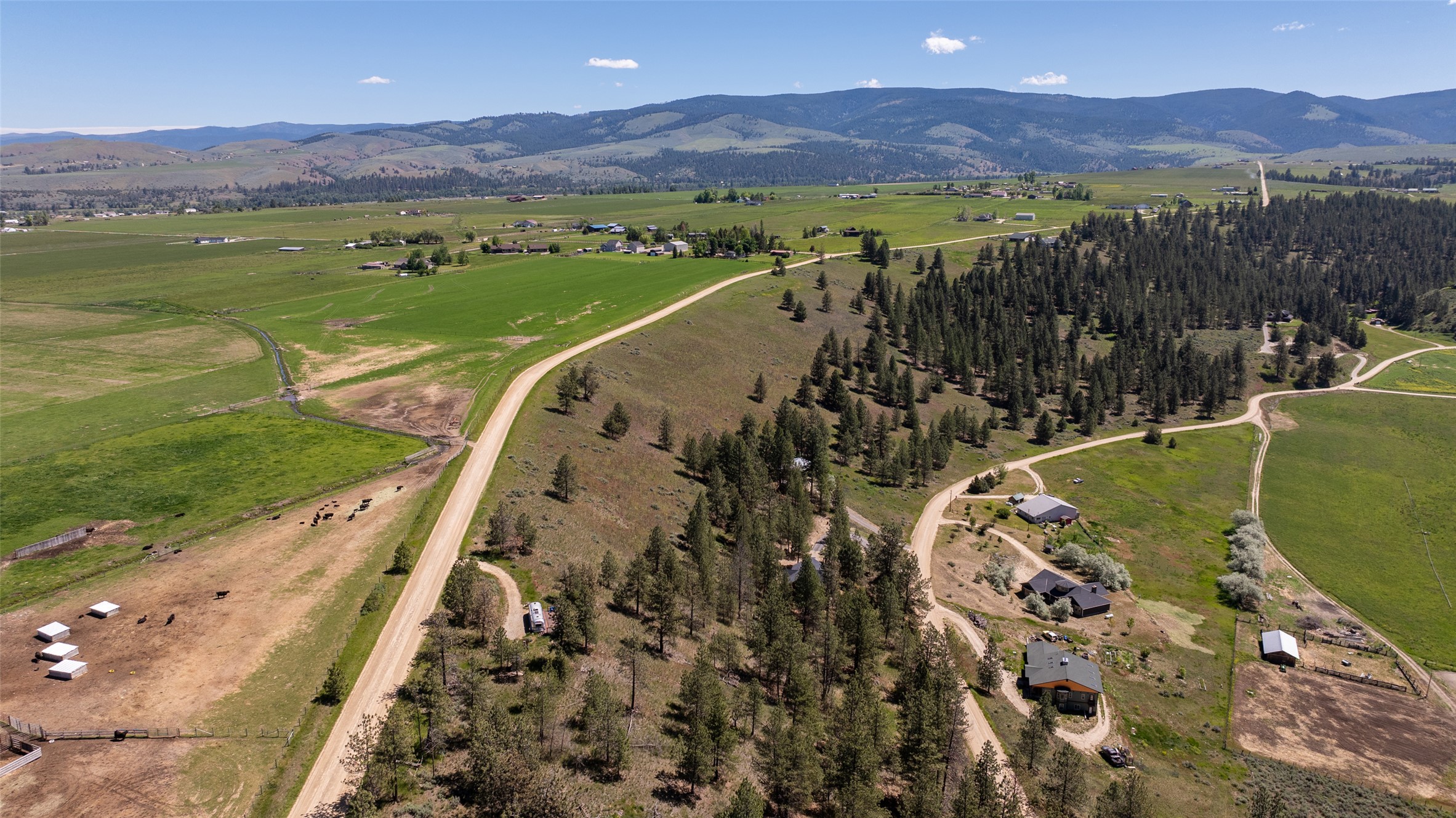 Land in Stevensville 5