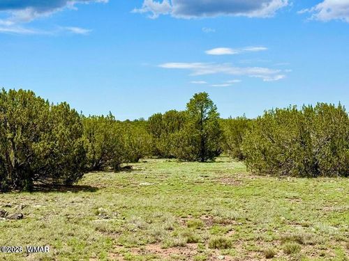 85 Concho Hwy, Concho, AZ, 85924 | Card Image