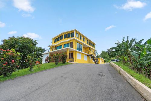 Bo. Hoyos Planes Carr. 531 Km Hm7, JAYUYA, PR, 00664 | Card Image