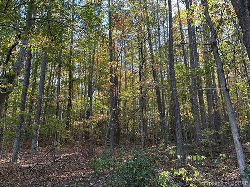 0 Mount Prospect Rd, Laneview, VA, 22504 | Card Image