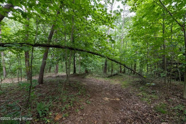 7 Vanmeter Cemetery Rd, Home with 0 bedrooms, 0 bathrooms and null parking in Bee Spring KY | Image 27