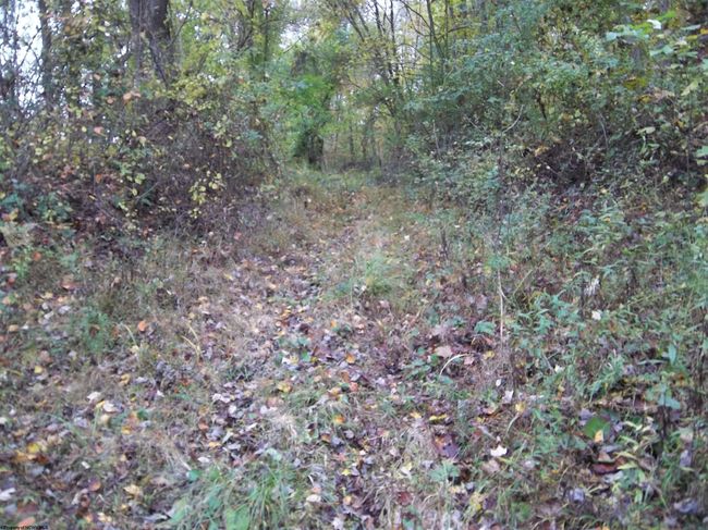 2410 Buckhannon Pike, Home with 0 bedrooms, 0 bathrooms and null parking in Mount Clare WV | Image 26