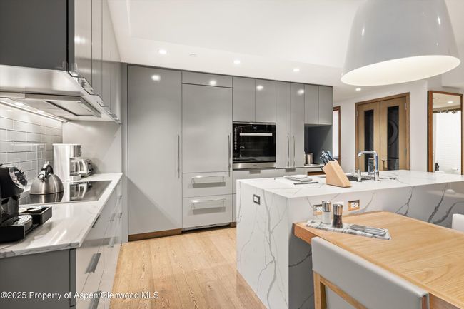 F10-1-10 - 550 S Spring St, Condo with 3 bedrooms, 4 bathrooms and 1 parking in Aspen CO | Image 16