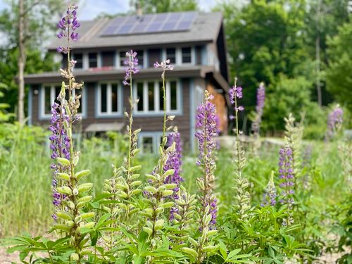 615 Forest Hill Rd, Franconia, NH, 03580-5036 | Card Image