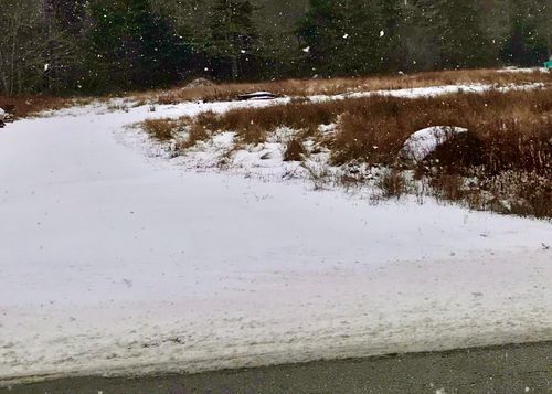 1246 Highway 340, South Ohio, NS, B5A5N2 | Card Image