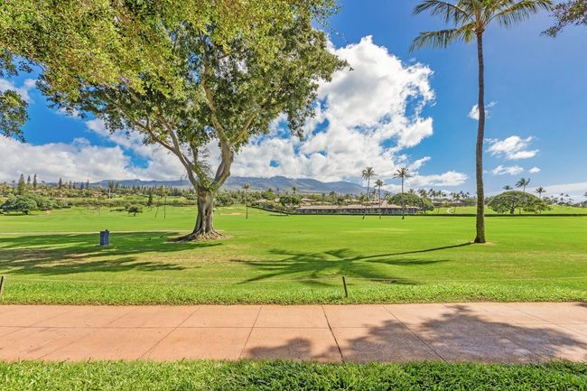 110 - 2661 Kekaa Dr, Condo with 0 bedrooms, 1 bathrooms and null parking in Lahaina HI | Image 29