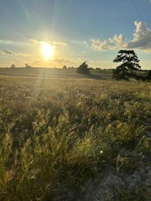 c-555 Paint Creek Rd, Mcdade, TX, 78650-5231 | Card Image