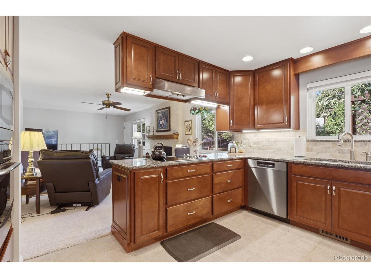 Residential in Littleton 4