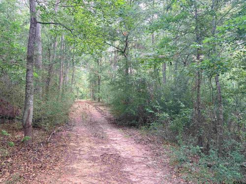 tbd 11 ACRES County Road 2125, Rusk, TX, 75785 | Card Image