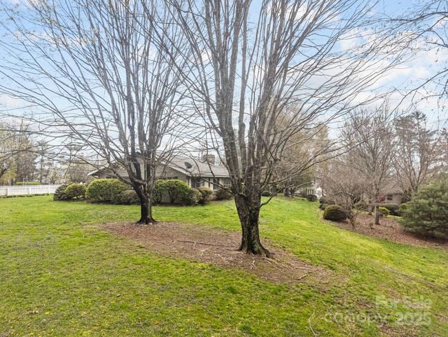 Expansive side yard | Image 27