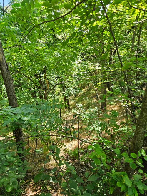 3 acres Mossy Creek Rd, MOUNT SOLON, VA, 22843 | Card Image