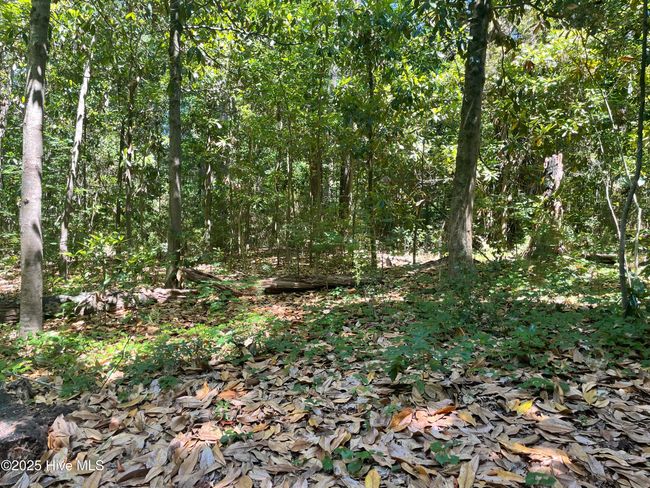 308 Hooker Rd, House other with 3 bedrooms, 2 bathrooms and null parking in Wilmington NC | Image 11