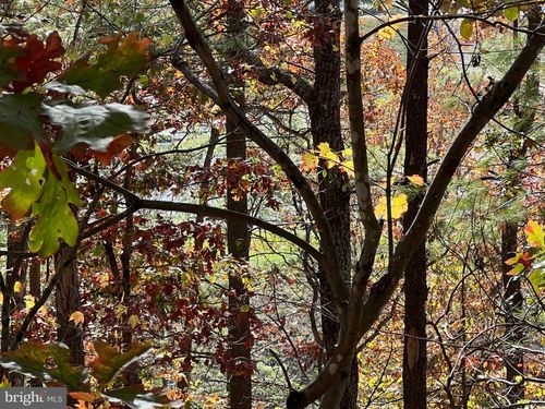 0 Brenda Ln, BASYE, VA, 22810 | Card Image