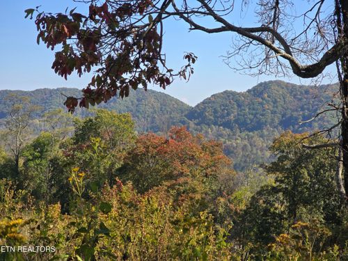 TBD Copper Ridge Rd, Eidson, TN, 37731 | Card Image