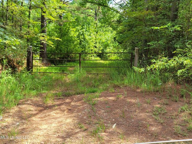 gate hogan pic | Image 7