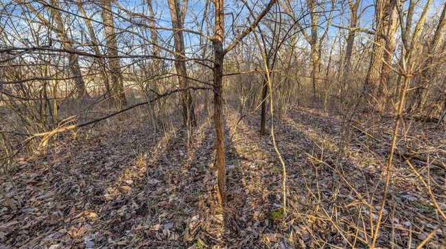 0 Highway M, Home with 0 bedrooms, 0 bathrooms and null parking in Villa Ridge MO | Image 6