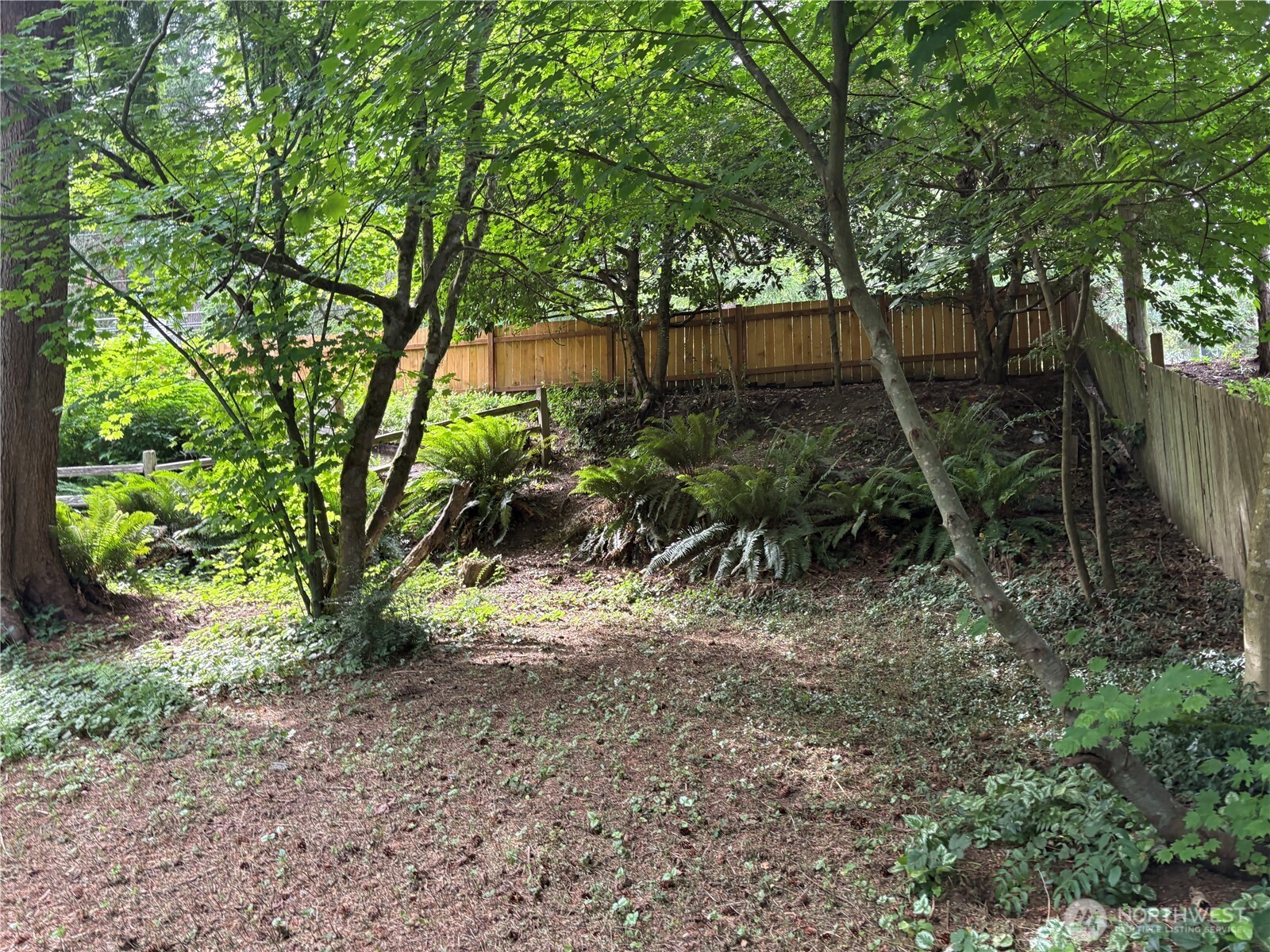 Residential in North Bend 5