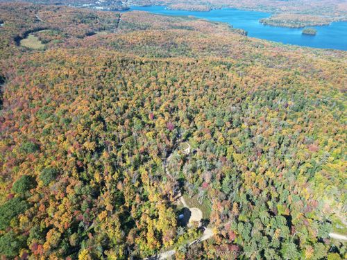 LT 29 CON 11 FRANKLIN; Lake Of Bays, The District Municipality Of Muskoka N/A, Lake of Bays, ON, N0N0N0 | Card Image