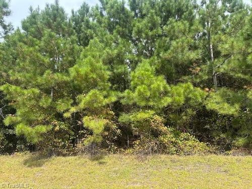 New Tract 12 Belford Church Rd, Jackson Springs, NC, 27281 | Card Image