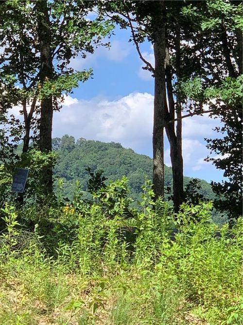 2046 Amy Creek Cir, Ellijay, GA, 30540-0564 | Card Image
