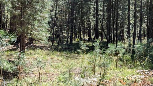 427-1878 Sheep Springs Rd, Forest Lakes, AZ, 85931-0170 | Card Image
