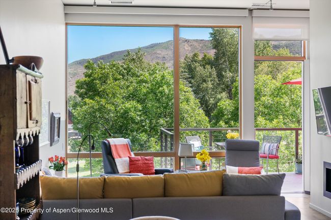 202 - 202 Evans Rd, Condo with 1 bedrooms, 1 bathrooms and 1 parking in Basalt CO | Image 8