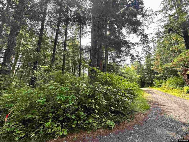 100 Yakobi Way, Home with 0 bedrooms, 0 bathrooms and null parking in Sitka AK | Image 14