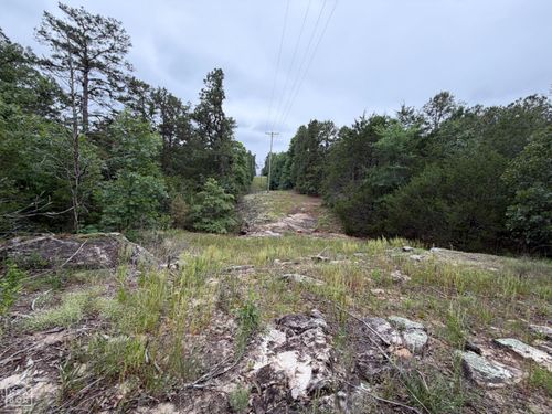 1031 Old Dolph Road, Calico Rock, AR, 72519 | Card Image
