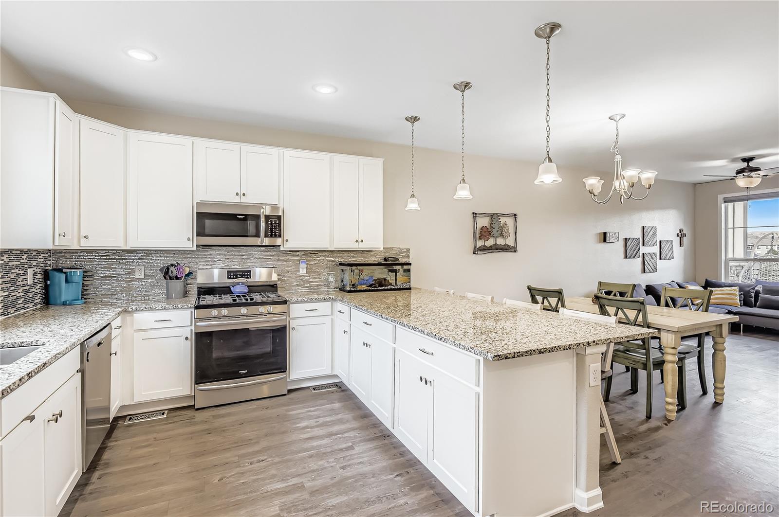 Residential in Castle Rock 2