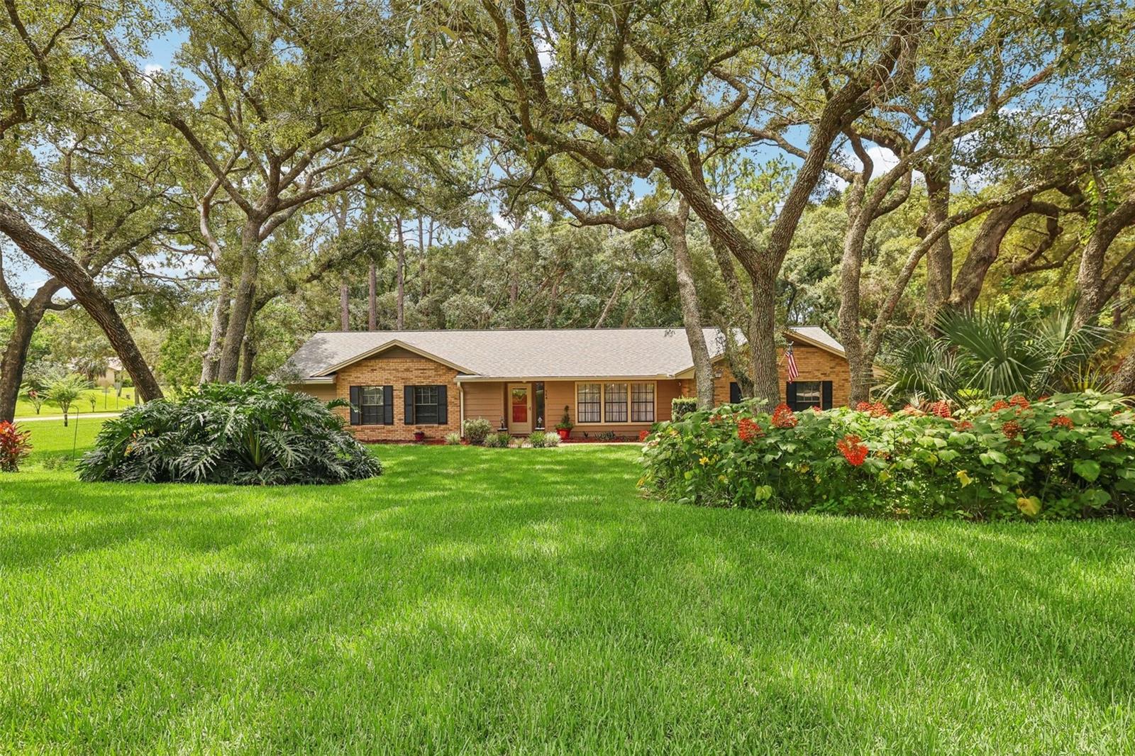 Black Ironwood Dr, Deland, FL 32724