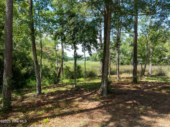 3404 Eagle Crest Dr Sw, House other with 3 bedrooms, 3 bathrooms and 7 parking in Supply NC | Image 156