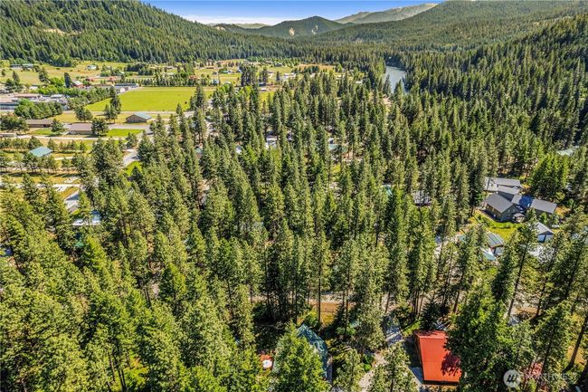 18880 Pine Loop, House other with 2 bedrooms, 3 bathrooms and 4 parking in Leavenworth WA | Image 39