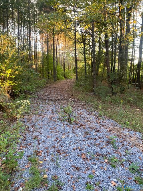 3.7 acres +/- County Highway 10, Blountsville, AL, 35031 | Card Image