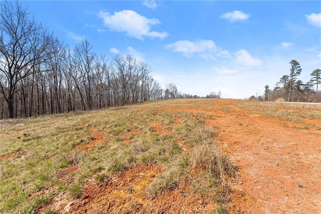 Land in Carnesville 3