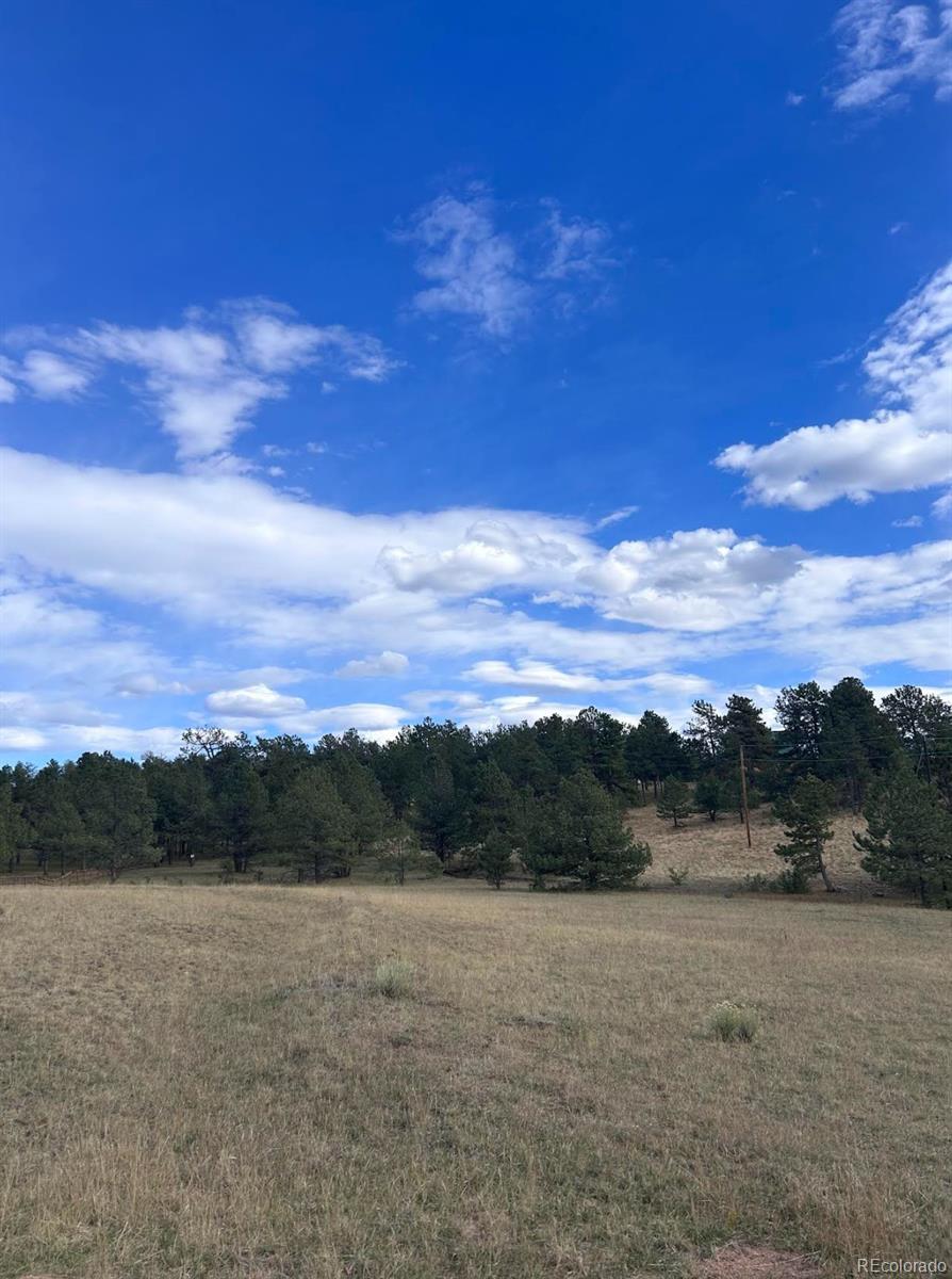 Land in Florissant 3