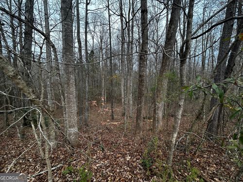 133 Four Oaks Dr, Griffin, GA, 30224-7418 | Card Image