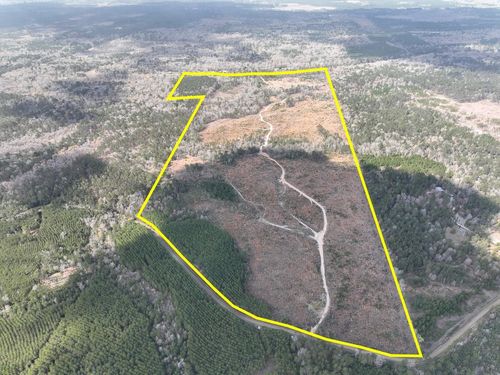 0 County Road 37, Jasper, TX, 75951 | Card Image