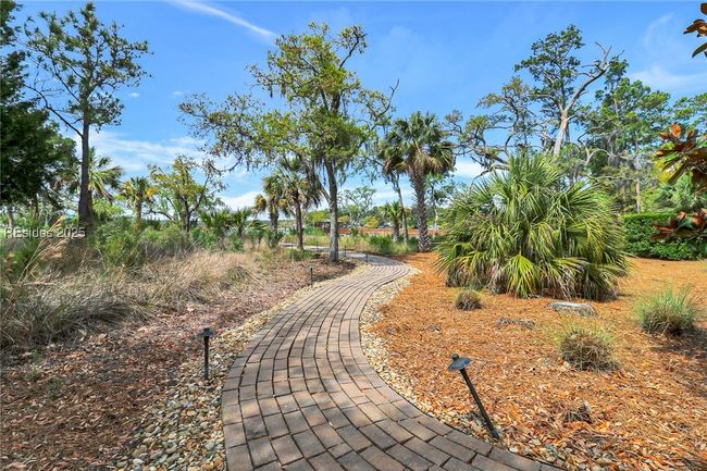 Private path to dock | Image 64
