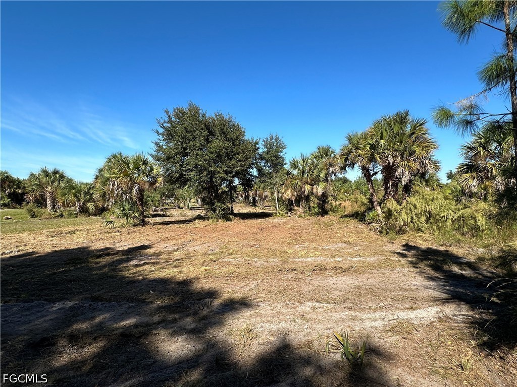 Land in Naples 3