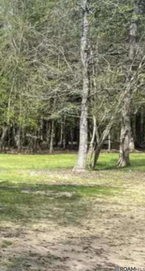 5392 N Gilead Rd, Clinton, LA, 70722 | Card Image