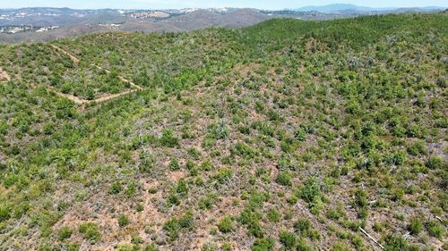 8519 Maranatha Ln, Mokelumne Hill, CA, 95245 | Card Image