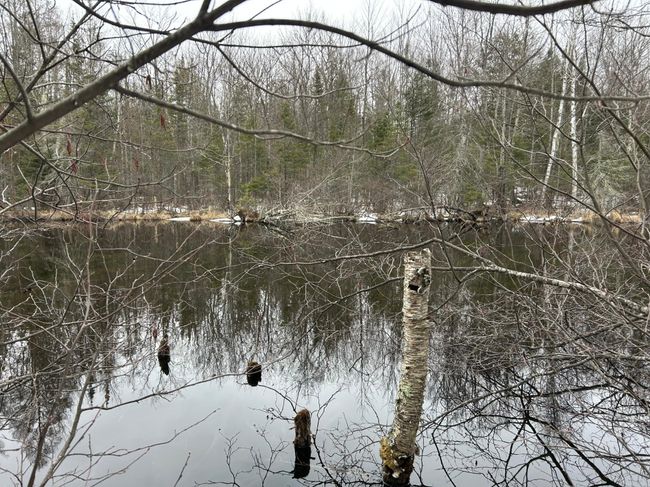 743 Woodlawn Rd, House other with 2 bedrooms, 1 bathrooms and null parking in Pickerel WI | Image 61