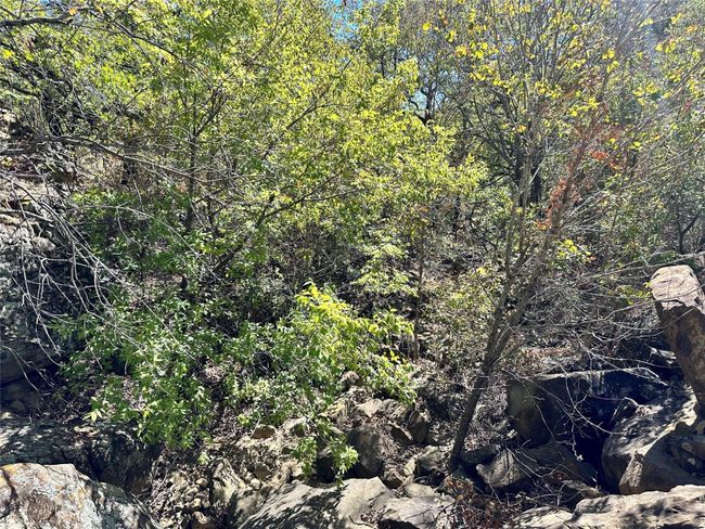 View of local wilderness featuring a view of trees | Image 16